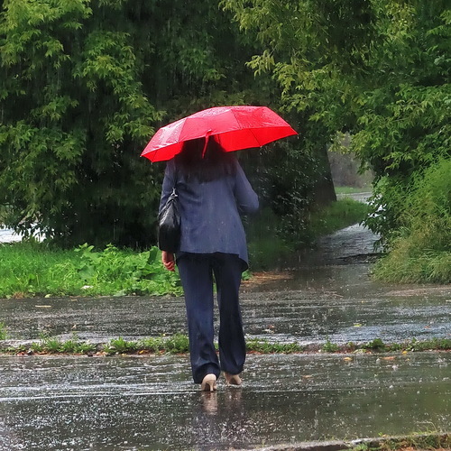 Photo #14226349