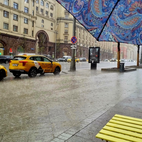 Photo #14226482