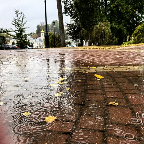 Photo #14226631