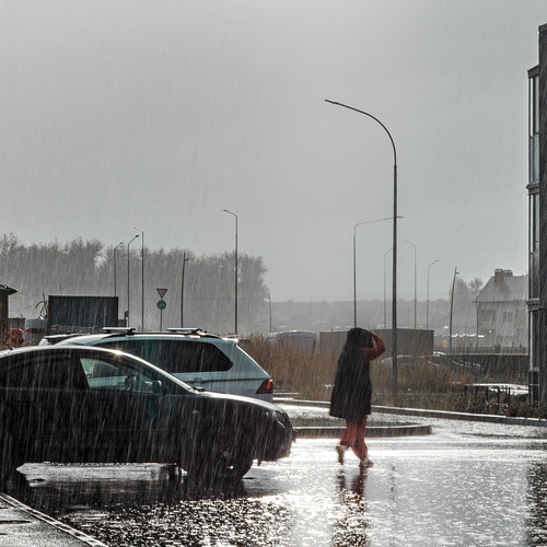 Photo #14226736