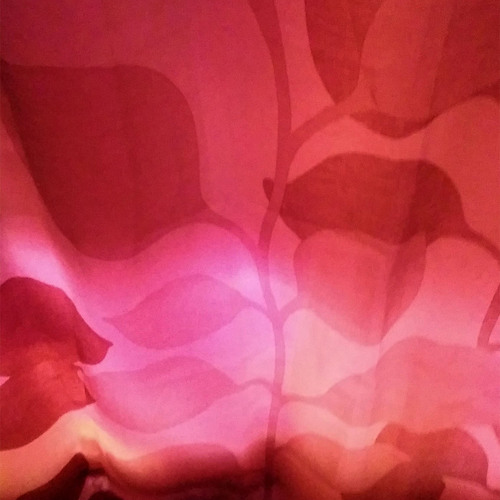Photo #14226792