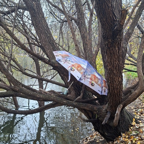 Photo #14226928