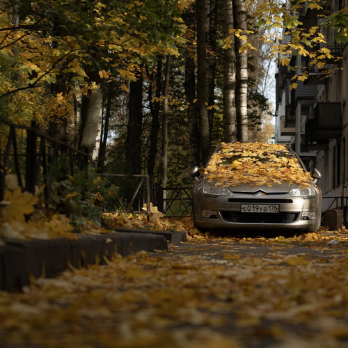 Photo #14227026