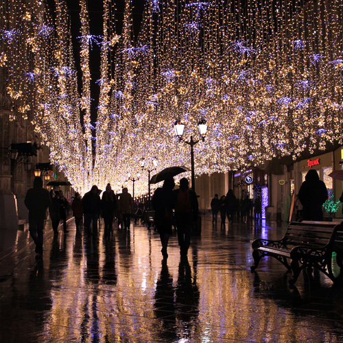 Photo #14227217