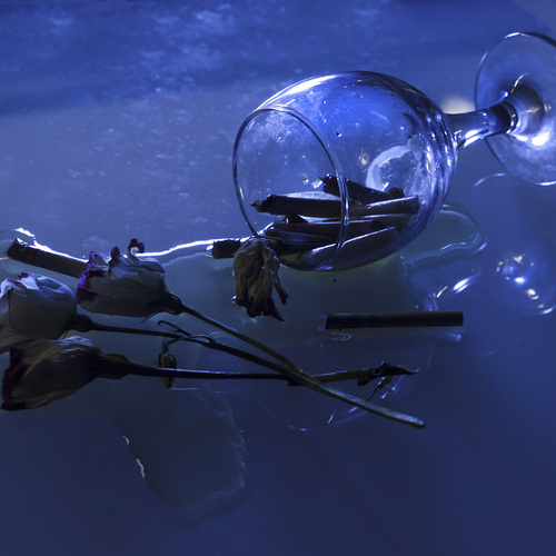 Photo #14227225