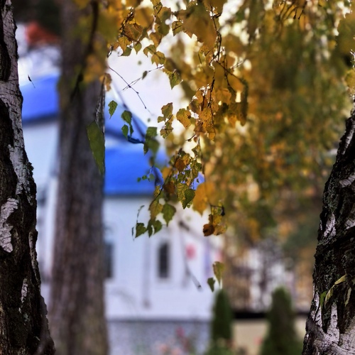 Photo #14227270