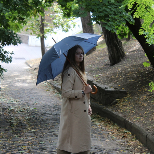 Photo #14227392