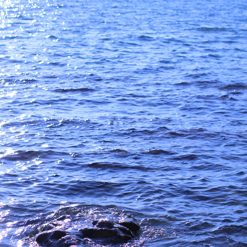 Photo #14227428