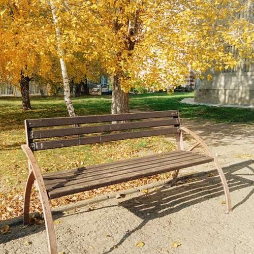 Photo #14227467