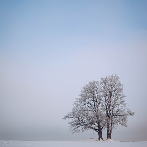 Photo #14227518