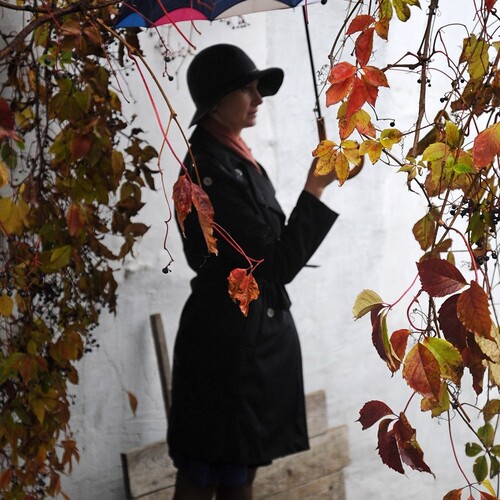 Photo #14227606