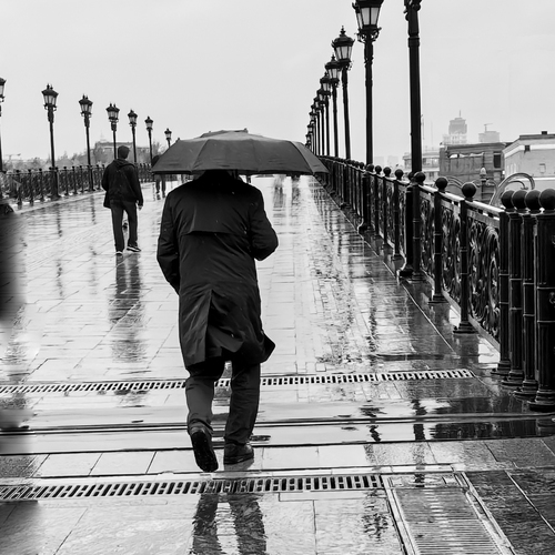 Photo #14228161