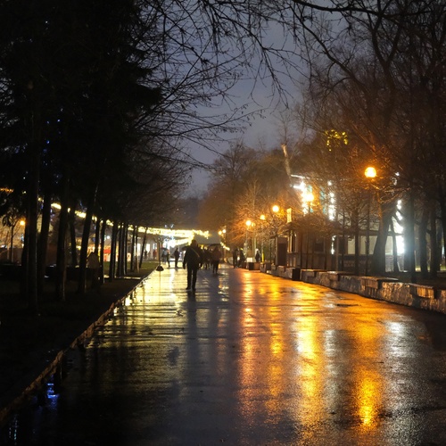Photo #14228170