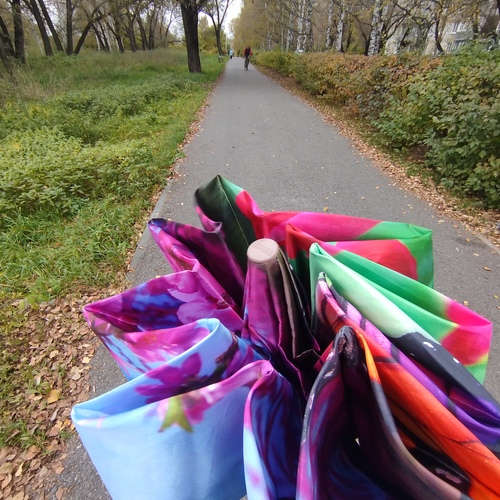 Photo #14228249