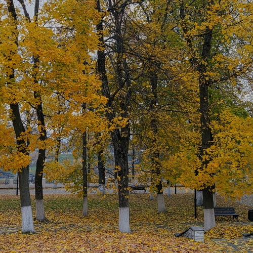 Photo #14228271