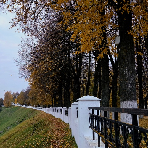 Photo #14228273