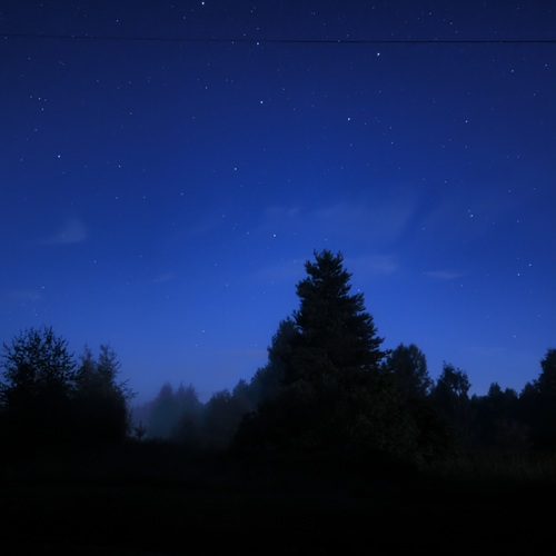 Photo #14228300