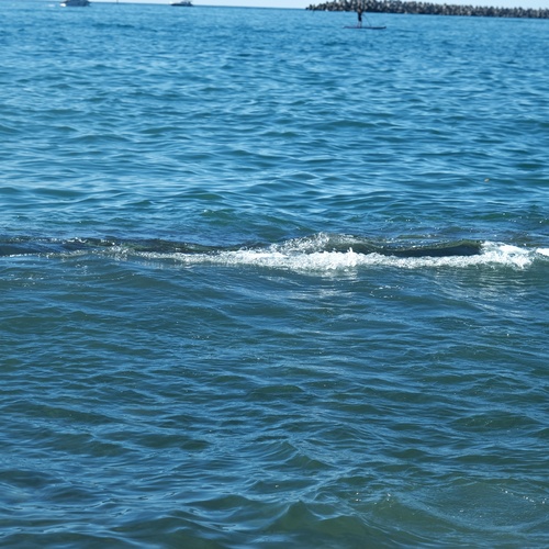 Photo #14228304