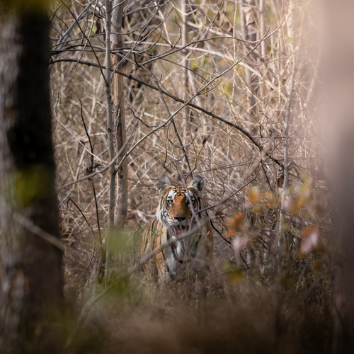 Photo #14228335