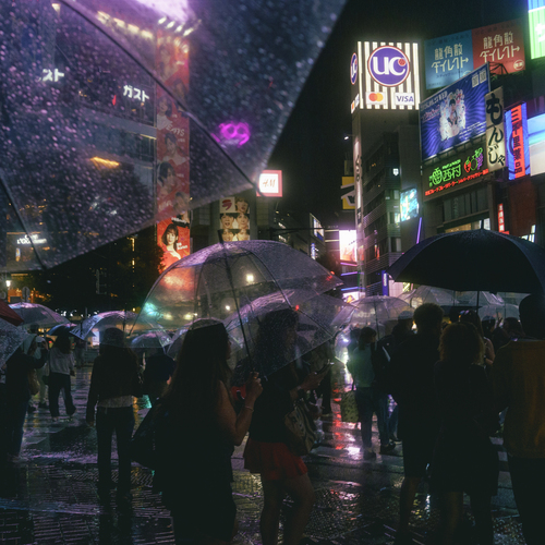 Photo #14228342
