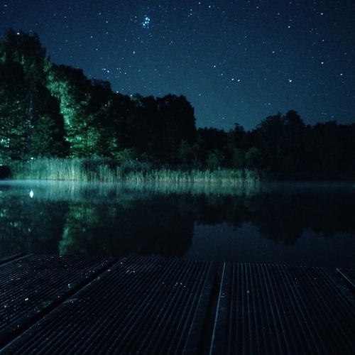 Photo #14228440