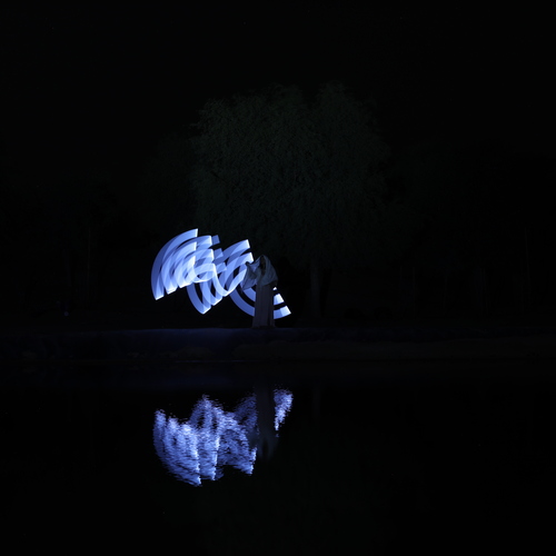 Photo #14228521