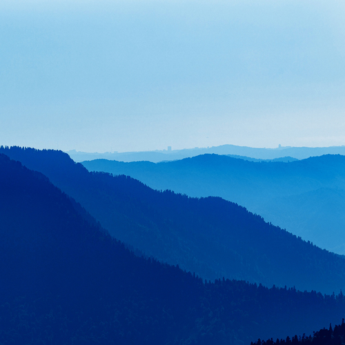 Photo #14228733