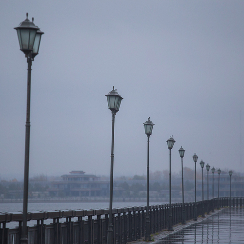 Photo #14228751
