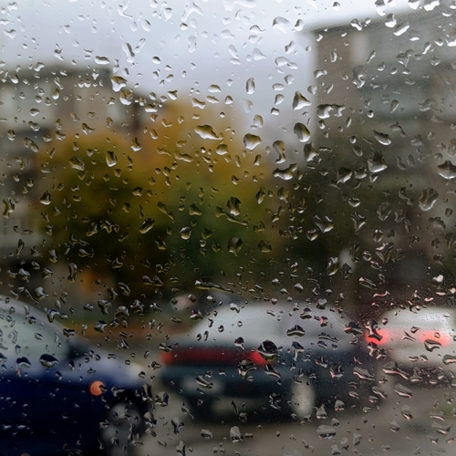 Photo #14228776