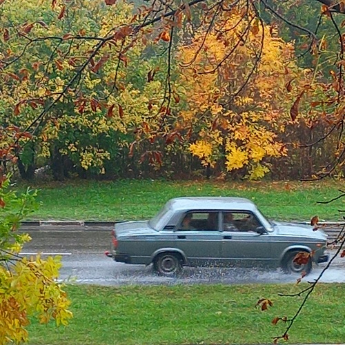 Photo #14228796
