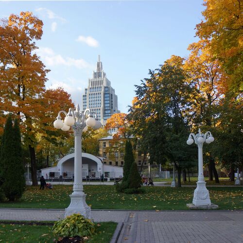 Photo #14229277