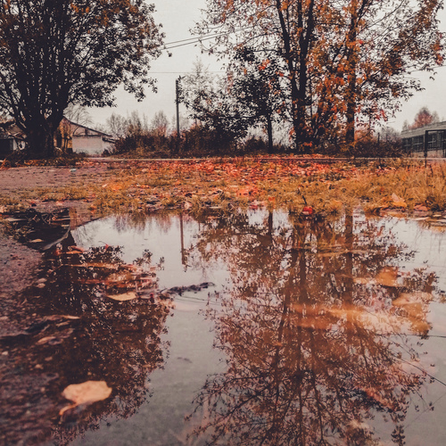 Photo #14229827