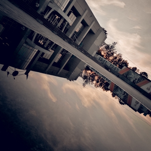 Photo #14229871