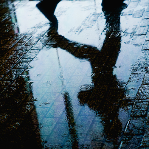 Photo #14230346