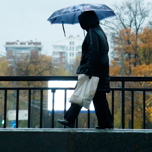 Photo #14230535