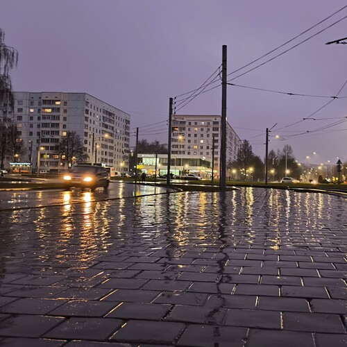 Photo #14230601