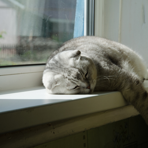 Photo #14230768