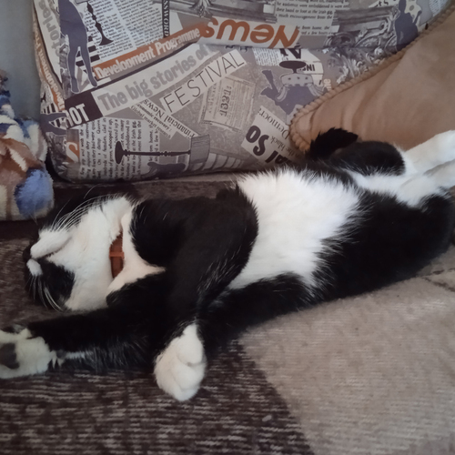 Photo #14230769