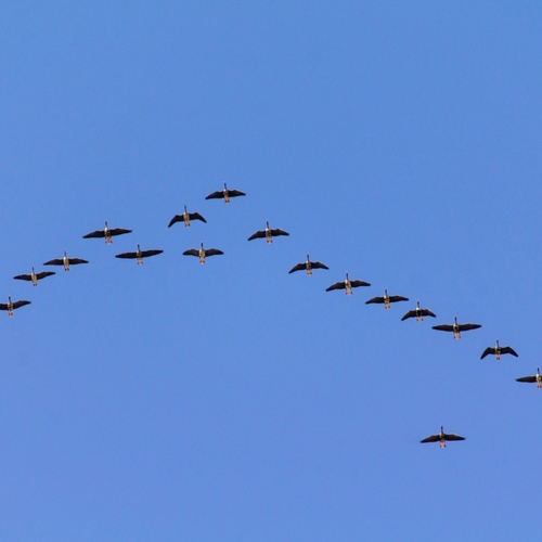 Photo #14231026
