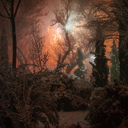 A Winter Night in the Glow