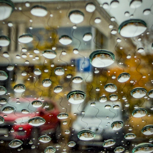 Photo #14231468