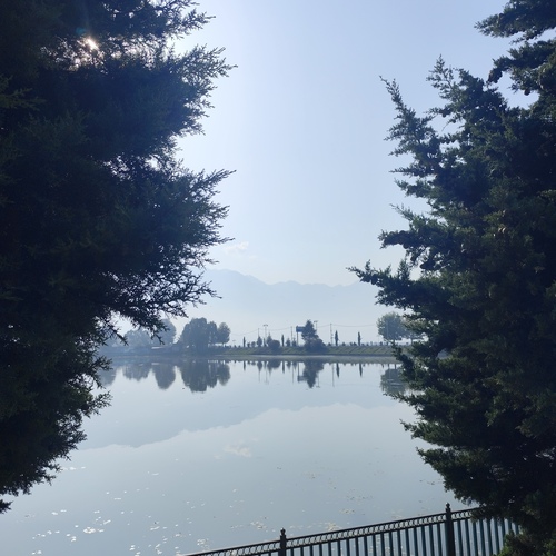 Photo #14231632