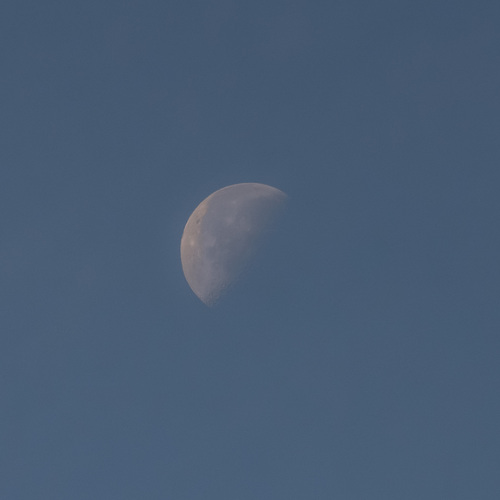 Moon at Dusk