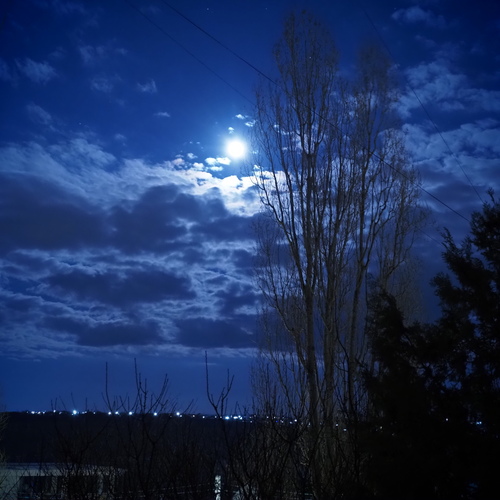 Photo #14231705