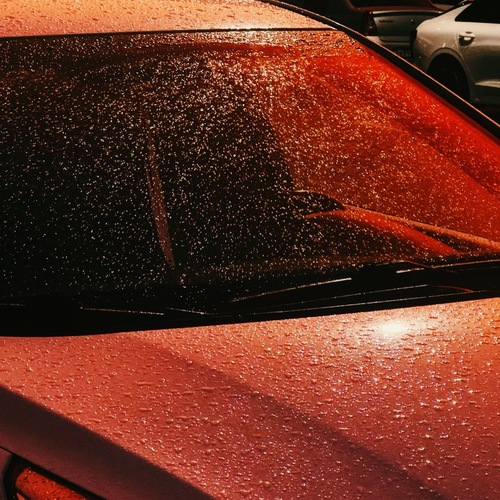 Photo #14231782