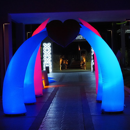 Photo #14231874
