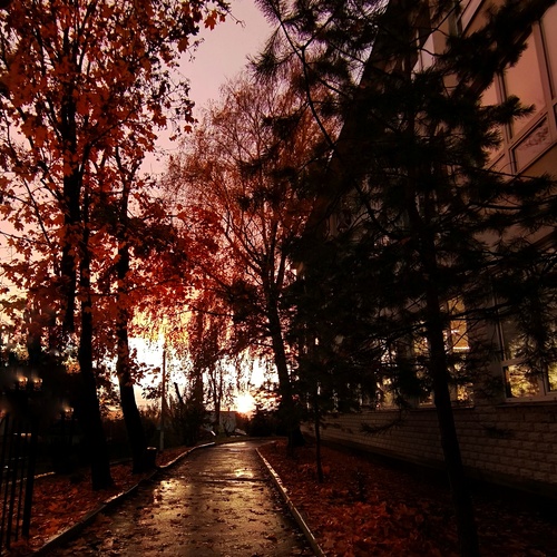 Photo #14232249
