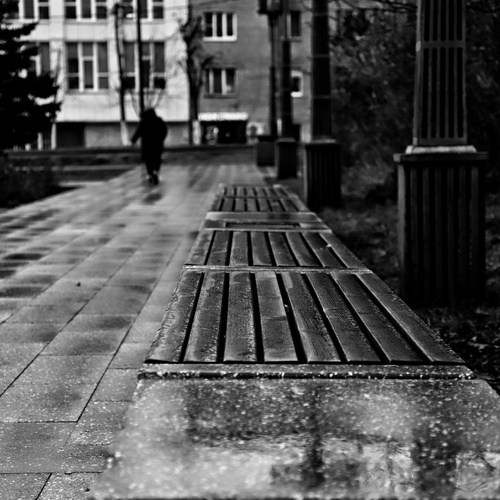 Photo #14232250