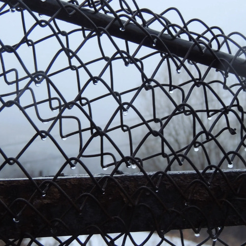 Photo #14232362