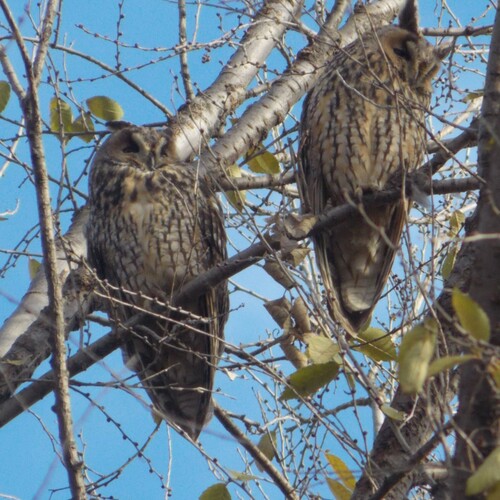 Photo #14232428